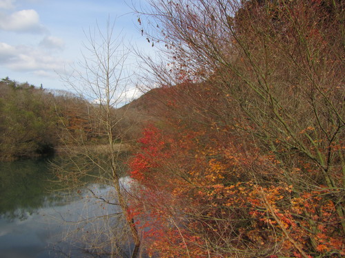 a0251786_18201250.jpg