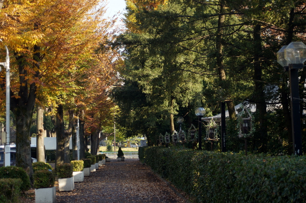 c0180686_20572757.jpg