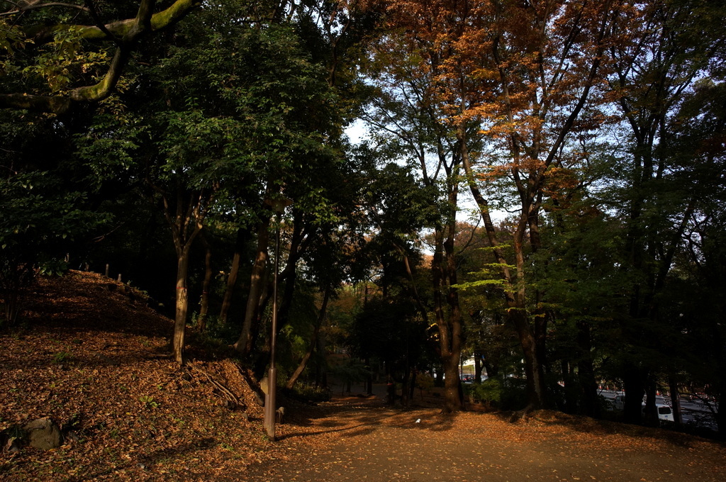 c0180686_21365286.jpg