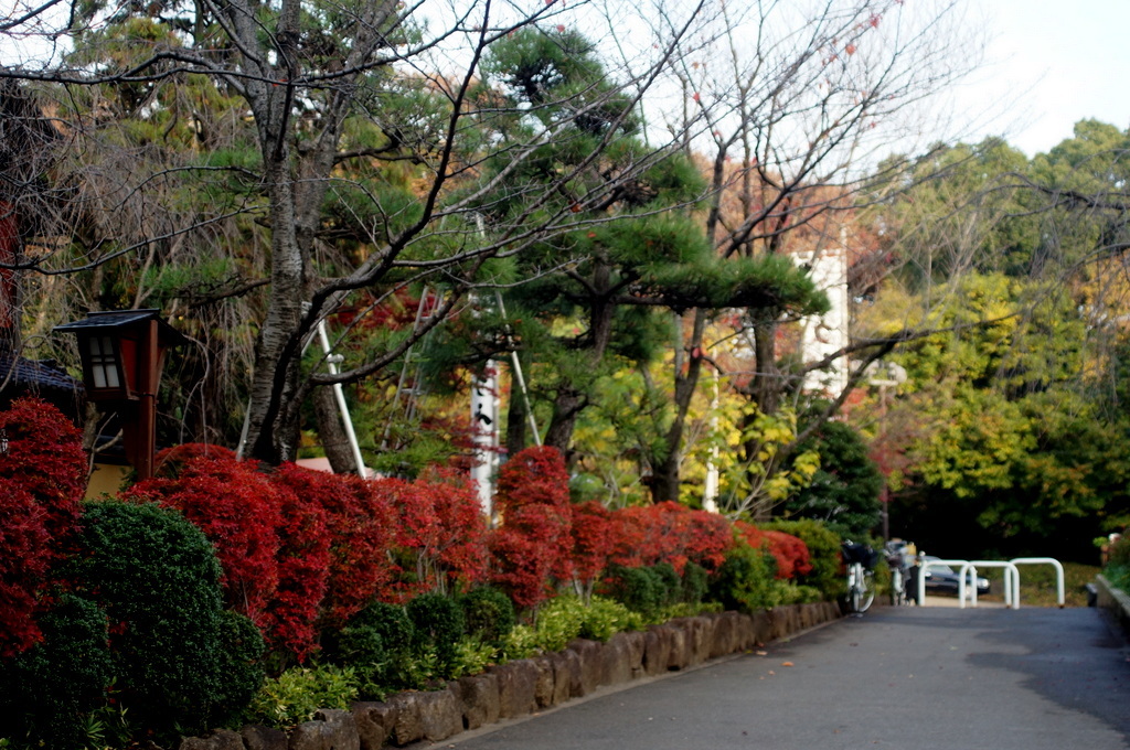 c0180686_21382528.jpg