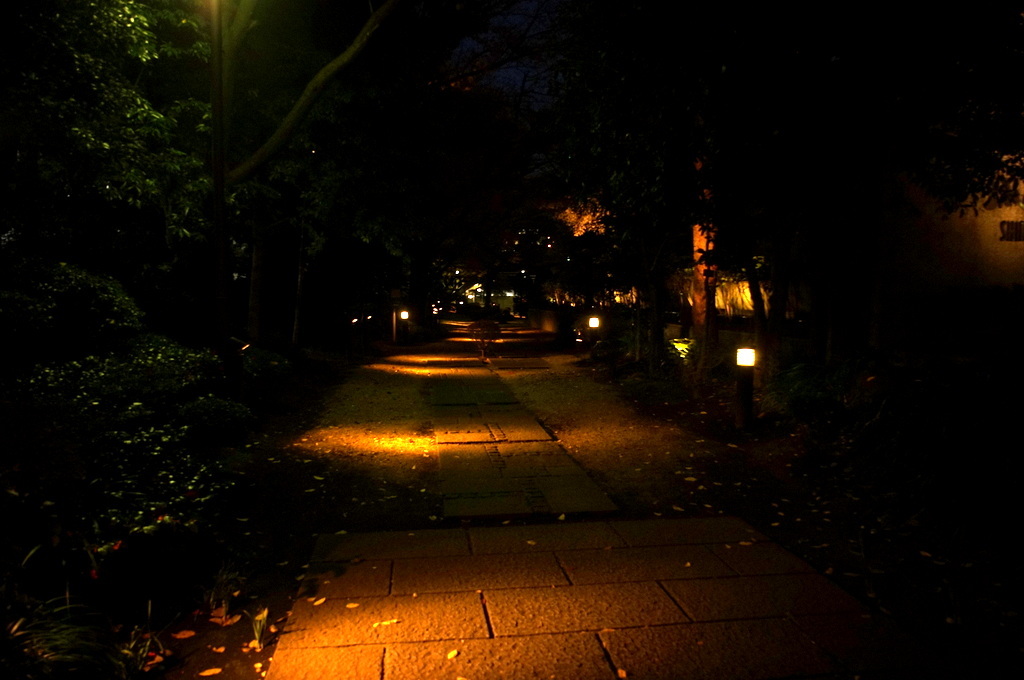 c0180686_21595604.jpg