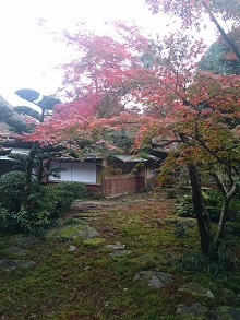 ねんきんQuiz-第428問(標準賞与額)_d0132289_04192359.jpg
