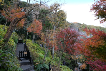 c0339296_1928328.jpg