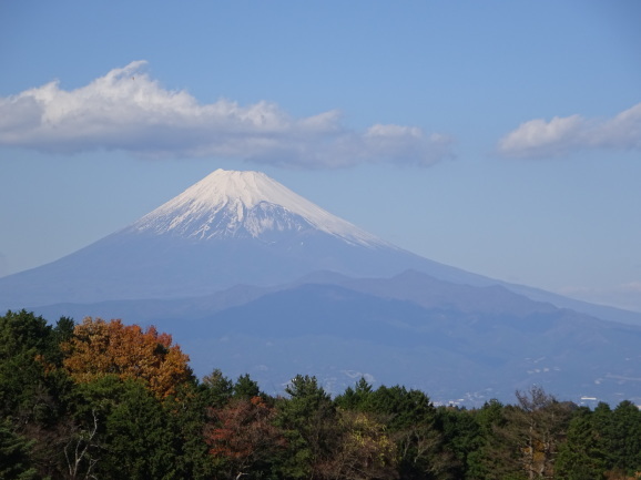 畑毛温泉大仙家に宿泊してきました。_b0328397_16102682.jpg