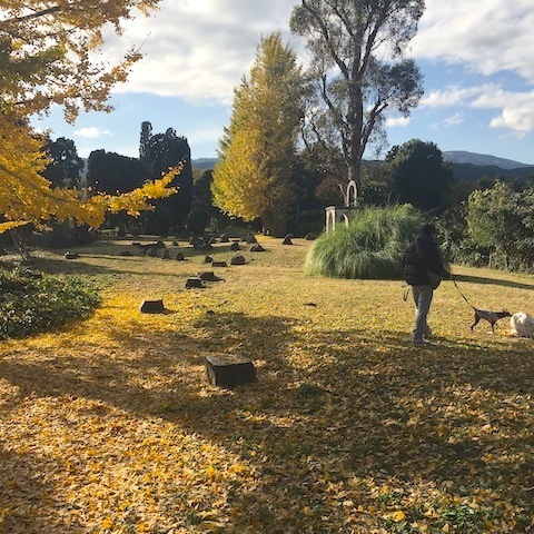 d0343297_12440926.jpeg