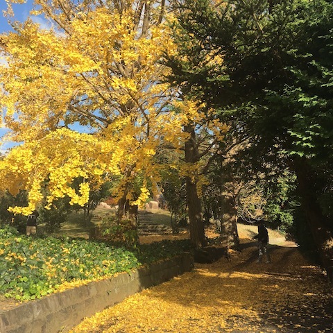 d0343297_12441047.jpeg