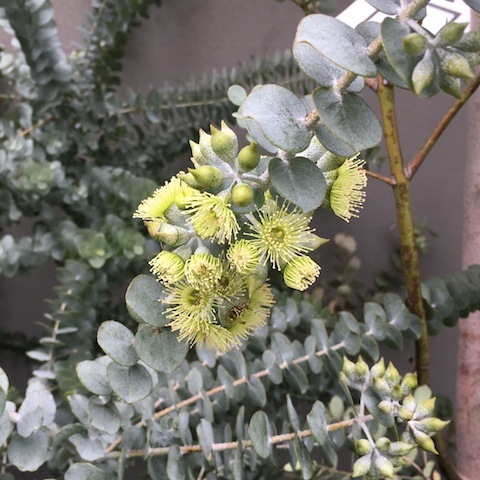 d0343297_16462029.jpeg