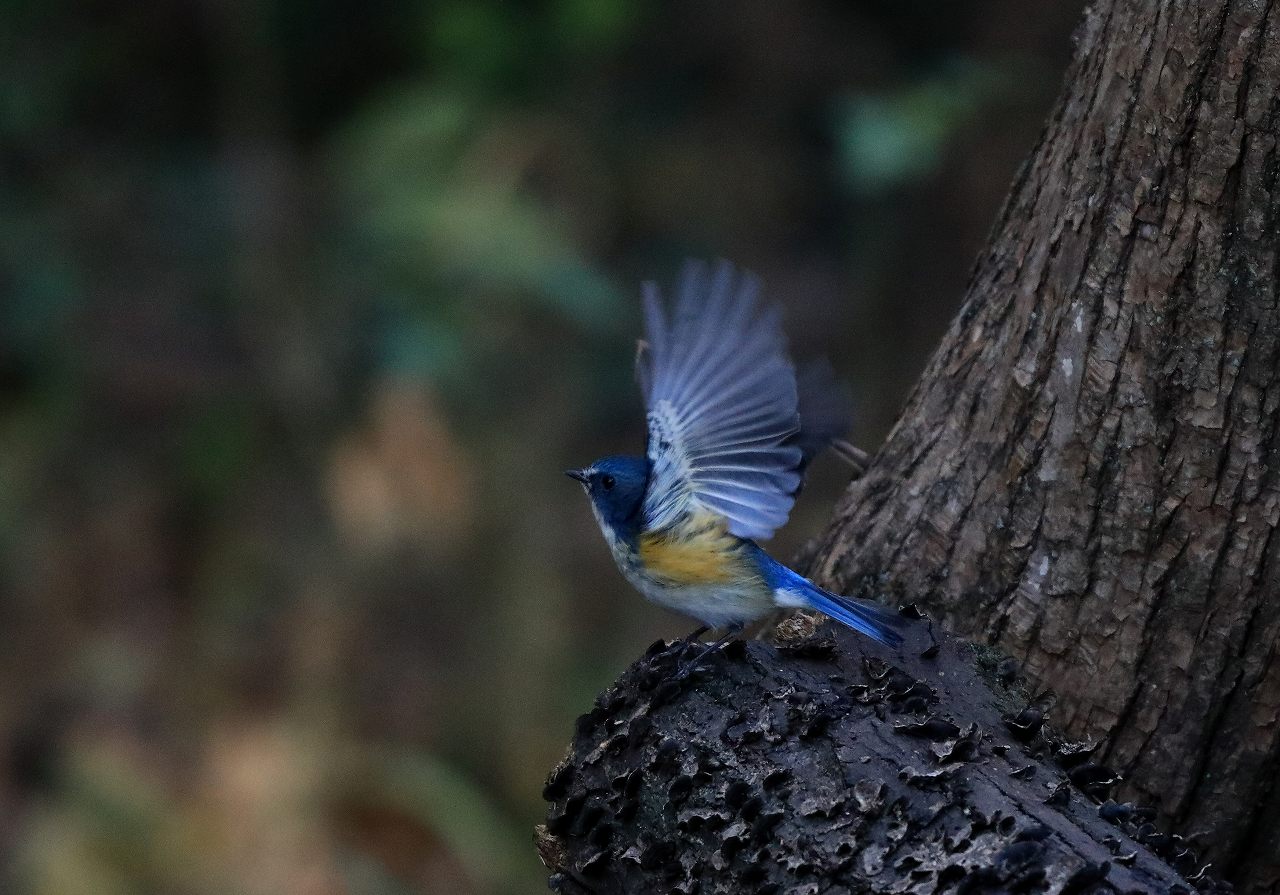 AK公園にて_f0296999_1611108.jpg