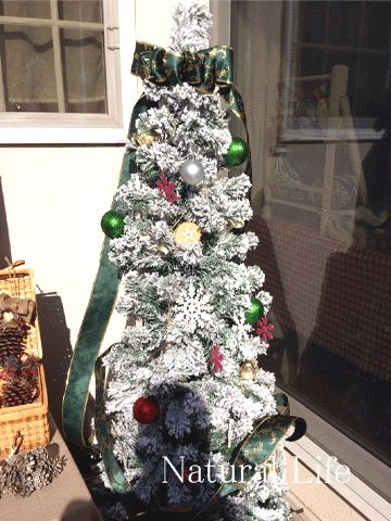 b0162000_17272648.gif