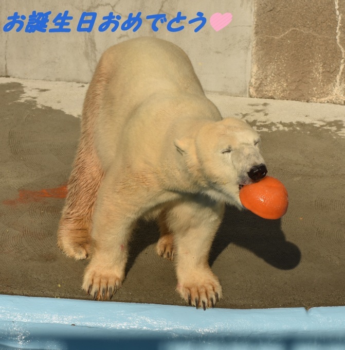 d0090801_19474519.jpg