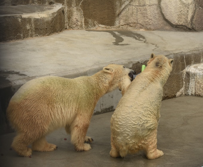 d0090801_19475155.jpg