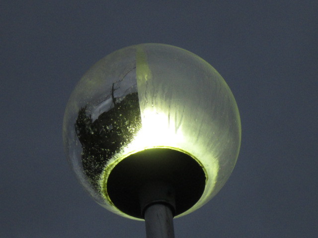 b0203907_12444748.jpg
