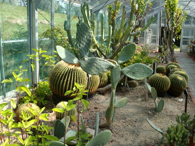 c0336408_09373334.jpg