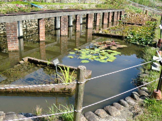 c0336408_09380107.jpg