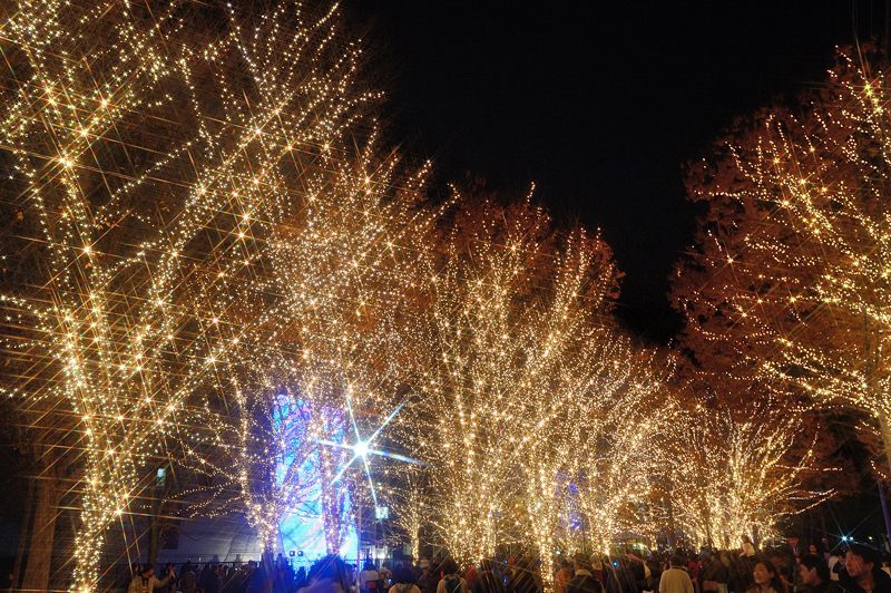2016クリスマスイルミネーション・ロームイルミネーション_f0032011_19440861.jpg