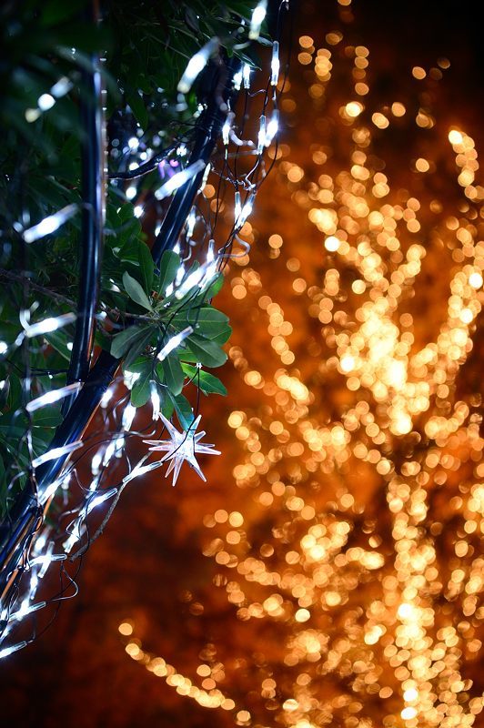 2016クリスマスイルミネーション・ロームイルミネーション_f0032011_19440984.jpg