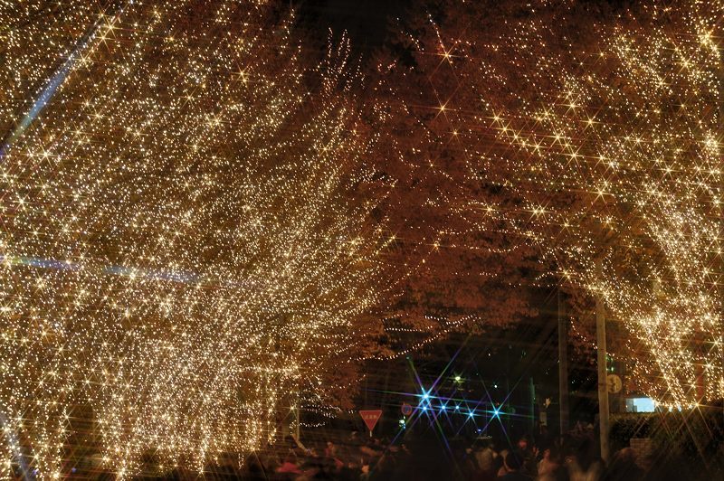2016クリスマスイルミネーション・ロームイルミネーション_f0032011_19520638.jpg