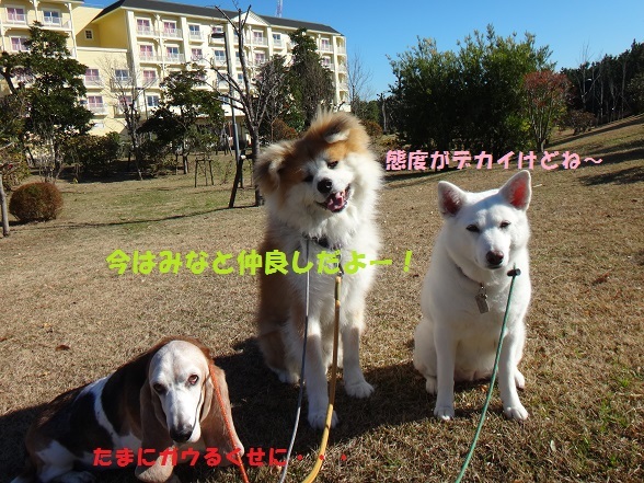 f0121712_14435160.jpg