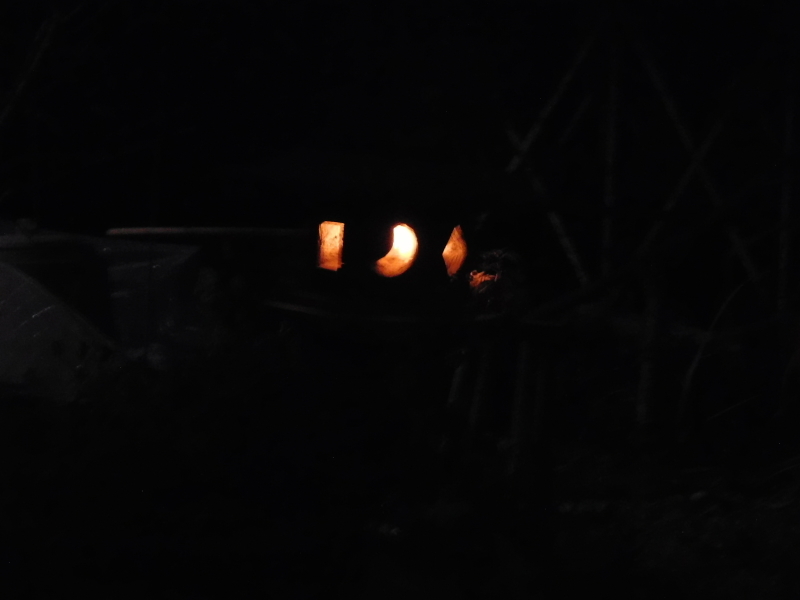 ミズム No,221 &_a0125419_18444234.jpg