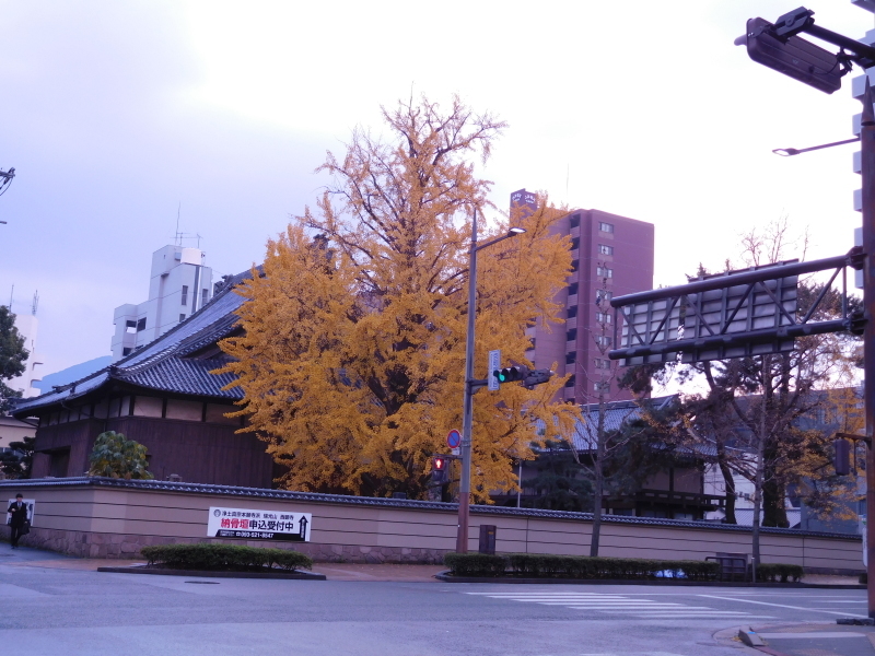 ミズム No,221 &_a0125419_18465763.jpg