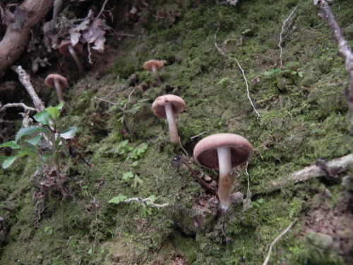 e0352220_20514329.jpg