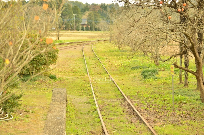f0321522_12381778.jpg