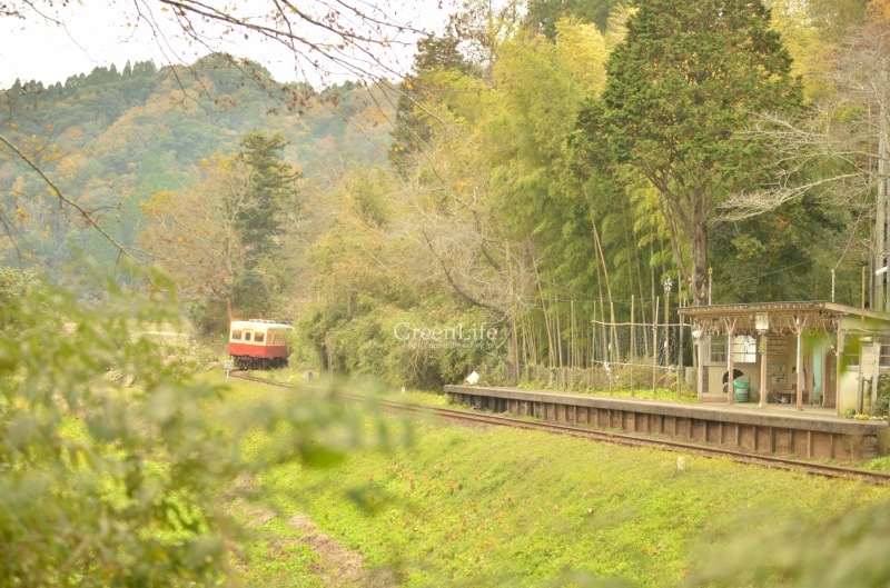 f0321522_20110077.jpg