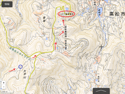 b0309623_10260461.png