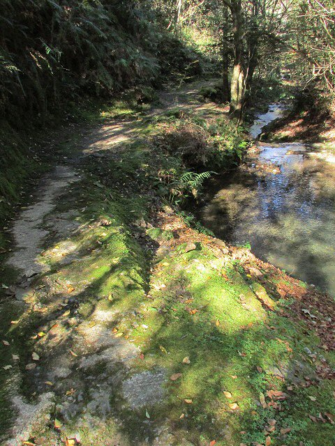 e0321325_14451478.jpg