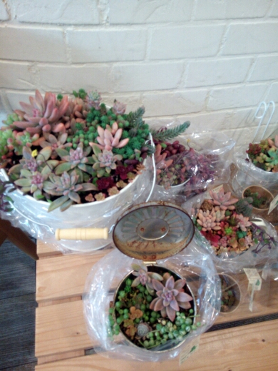 c0202126_2284289.jpg