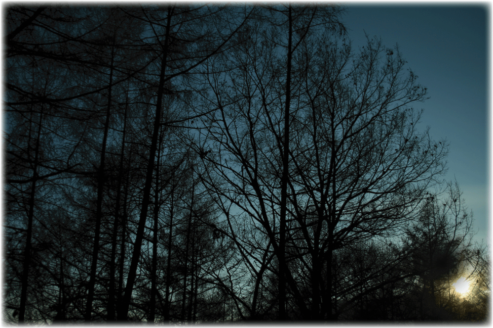 c0107829_10484843.gif