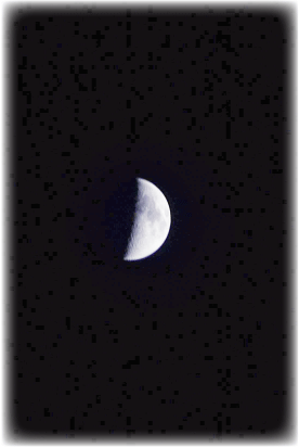 c0107829_10490439.gif