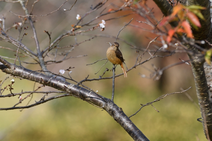 公園_a0026235_20431444.jpg