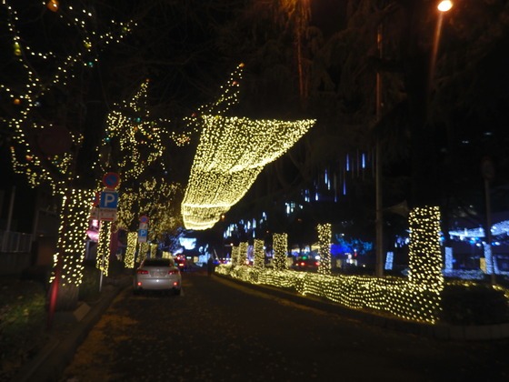 a0054240_2349474.jpg