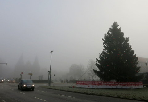 f0210340_5571533.jpg
