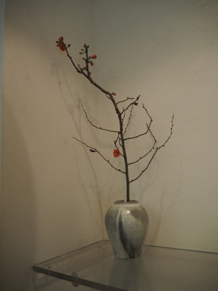 長谷川奈津展4日目 12/9_b0132442_14195474.jpg