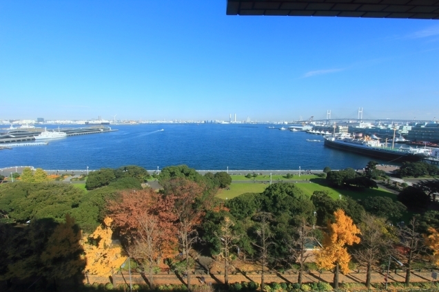 横浜　2016.12.02-03_d0132743_11364883.jpg