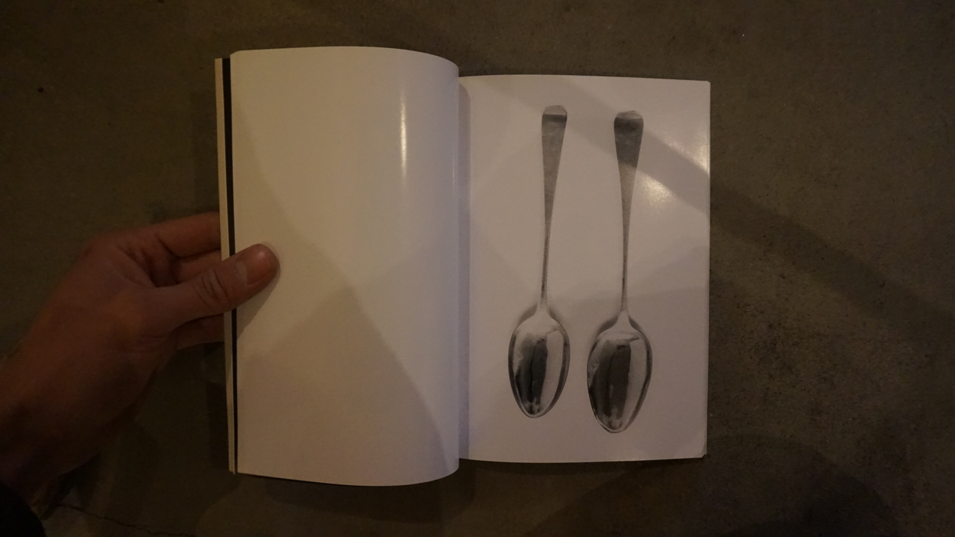 A Book of Spoons_a0323348_14390139.jpg