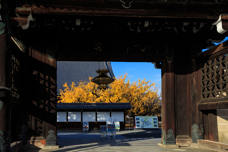 京都の紅葉2016 本願寺の黄金色_f0155048_2331438.jpg