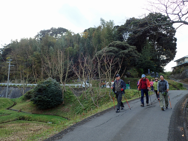 161205なぎさＮＷ＊大師山横穴古墳群＊ _f0214649_5413042.jpg