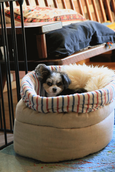 c0145250_09083452.gif