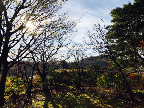 c0363753_08484763.jpg