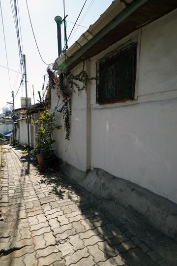 f0117059_22212736.jpg