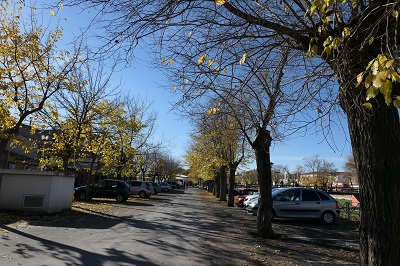d0193569_3381637.jpg