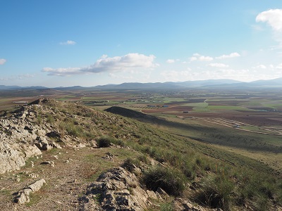 d0193569_3462388.jpg