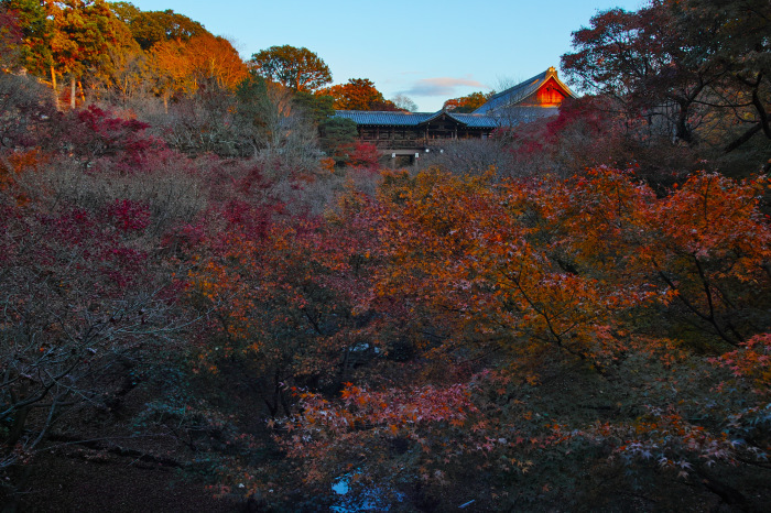  紅葉　東福寺　2016　_f0021869_22455246.jpg