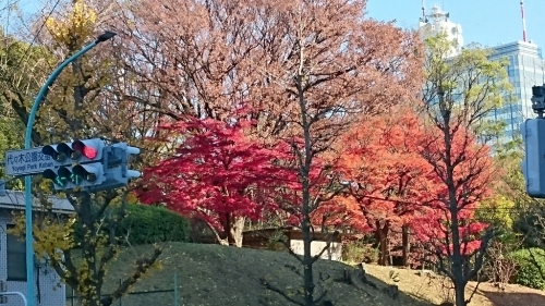 e0212073_10041877.jpg