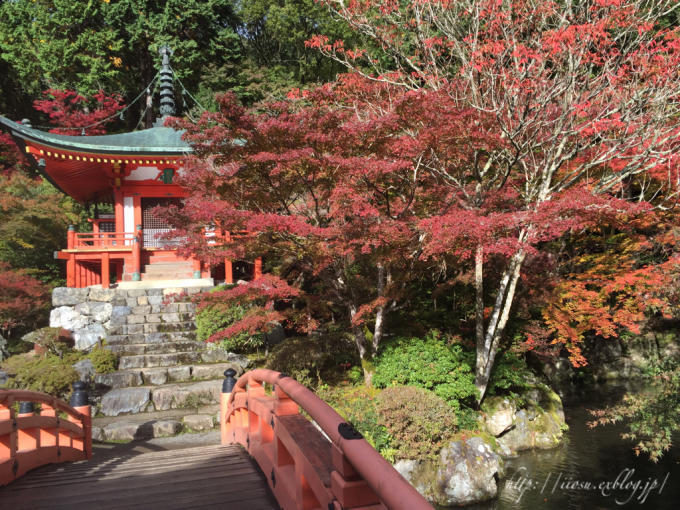 世界文化遺産 醍醐寺_f0091282_21403991.jpg