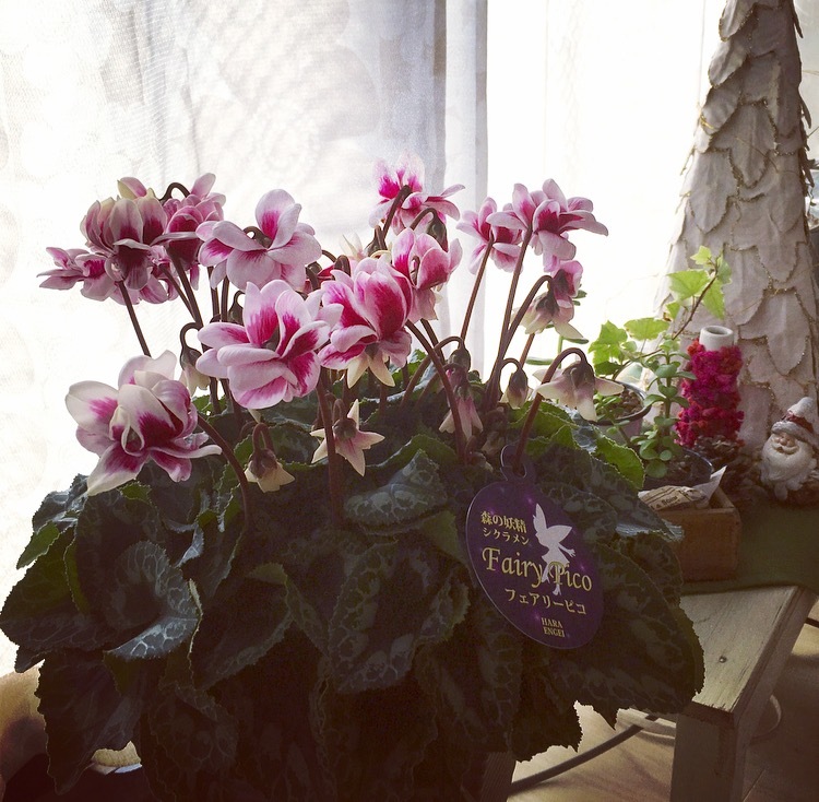 e0241285_05052414.jpeg