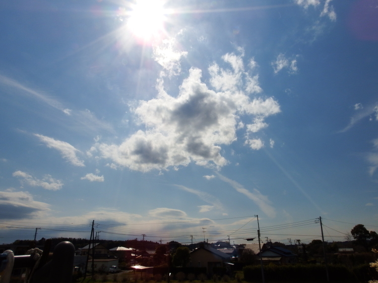d0021491_14094418.jpg